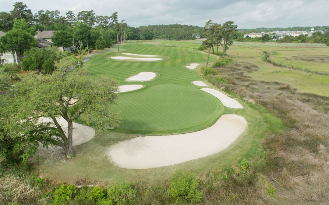 Birdie Hole? No. 8 at Tidewater Golf Club Provides Everyone a Chance to Score