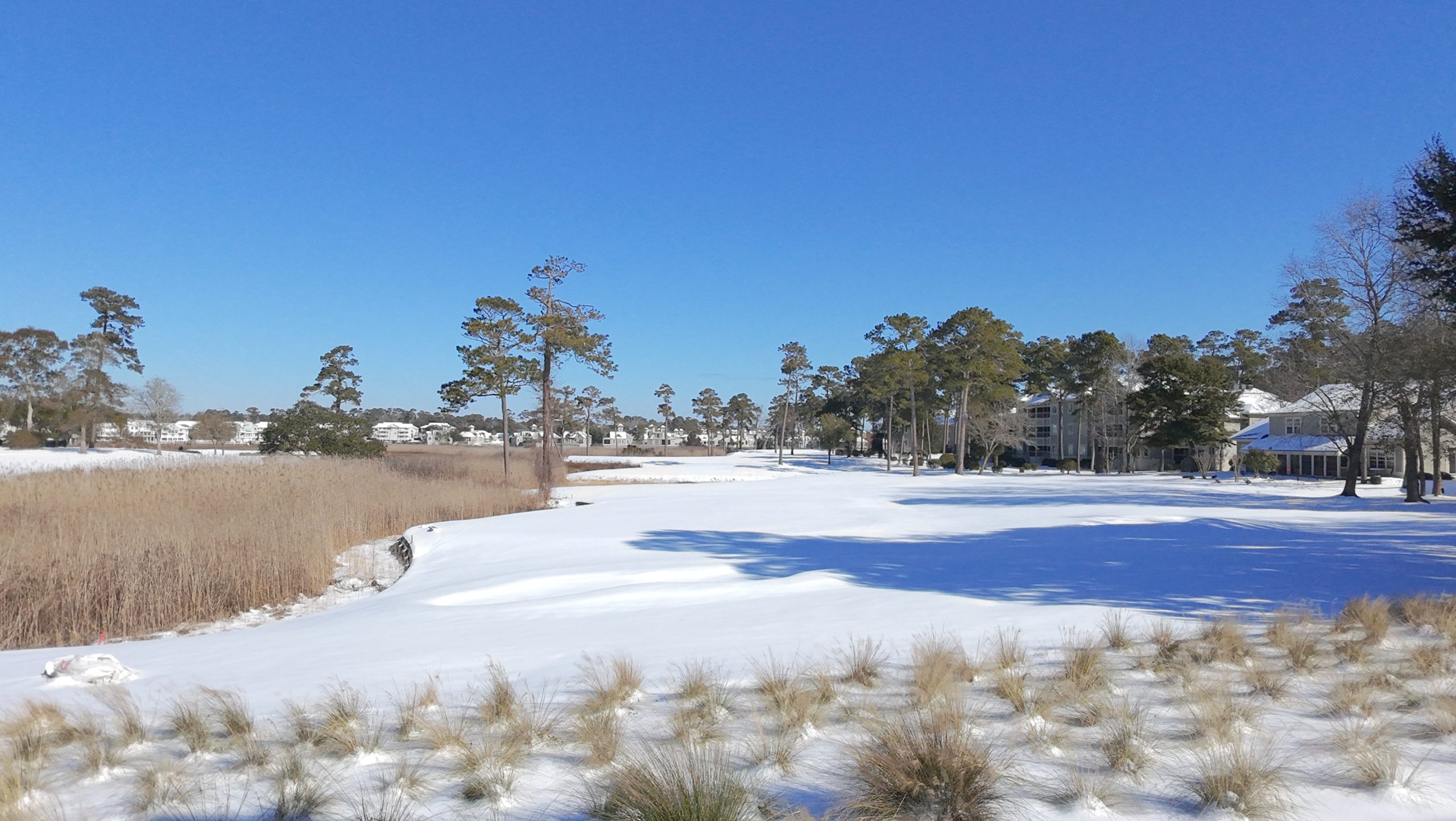 Snow Day at Tidewater Golf Club